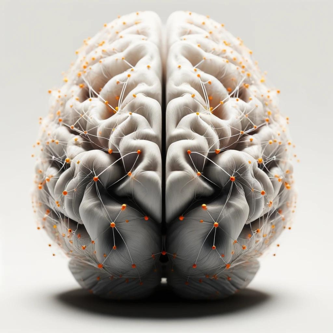 The Science of Habits: Understanding How They Form